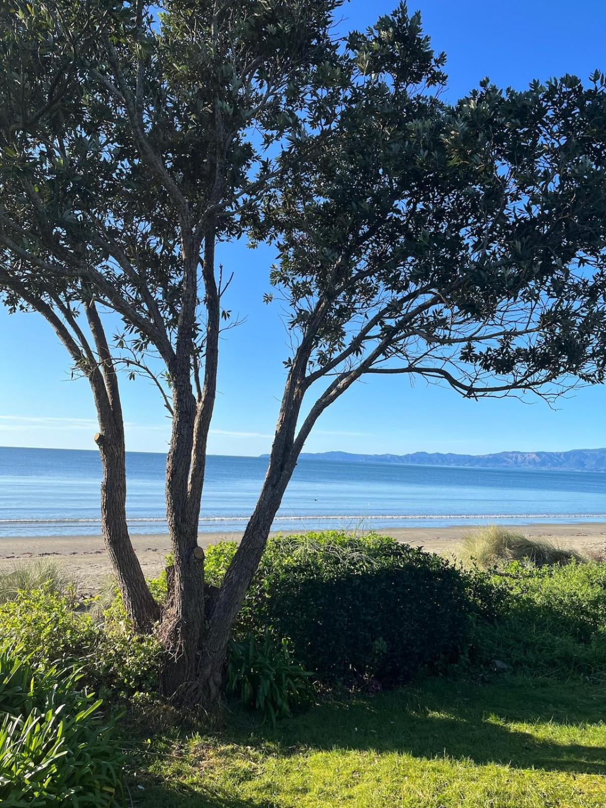 Beachfront Bliss - Your Parapara Seaside Retreat Exterior foto