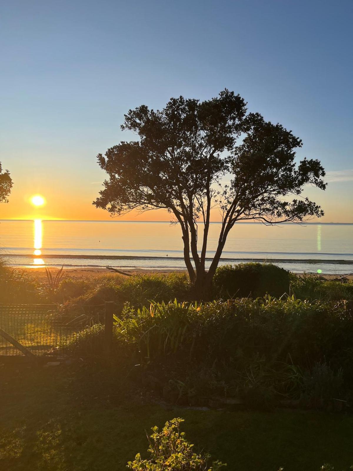 Beachfront Bliss - Your Parapara Seaside Retreat Exterior foto